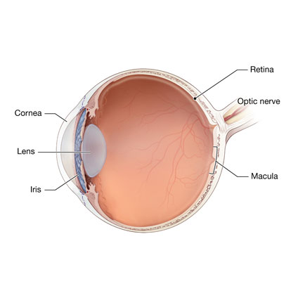 Especialidad de Retina y Vítreo