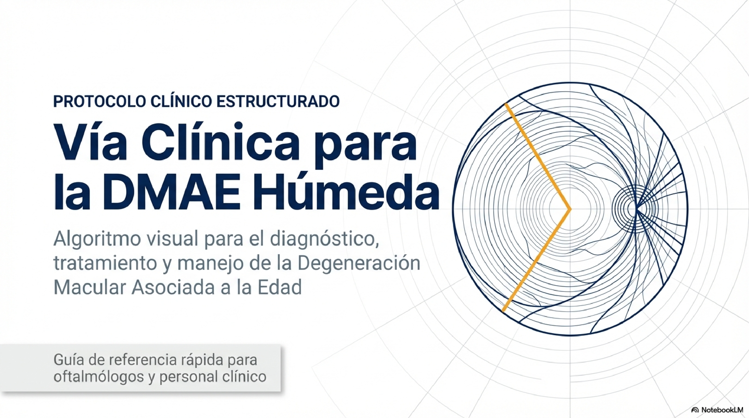 GUIA DMAE RESUMIDA