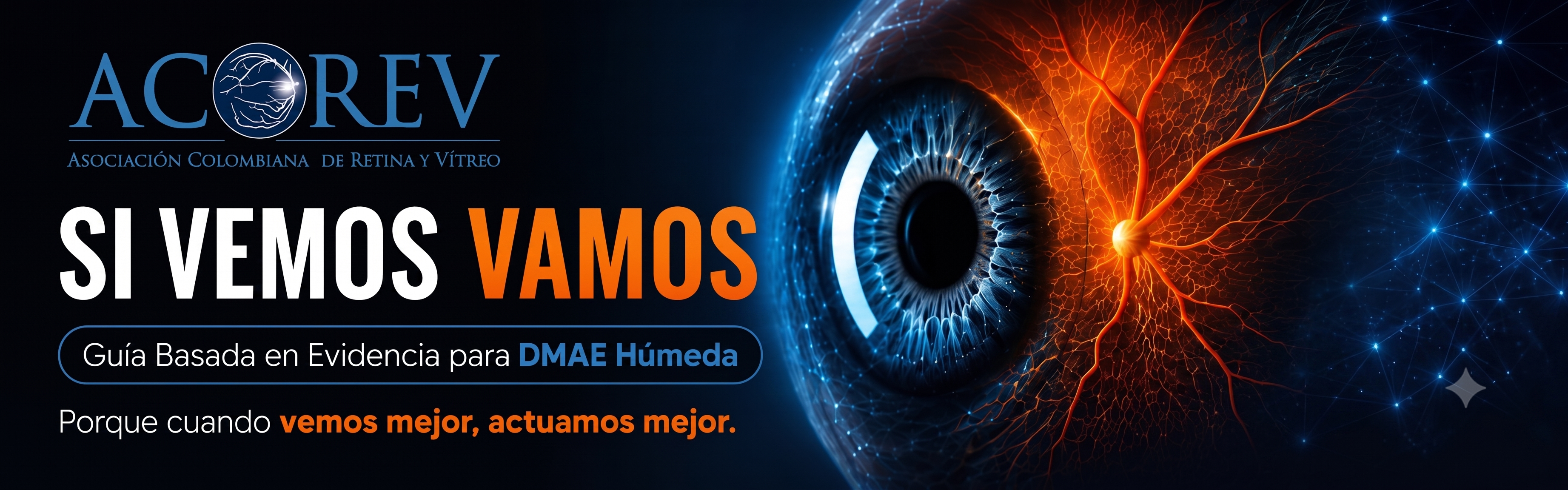 Guía informada por la evidencia para la degeneración macular asociada a la edad de tipo humeda